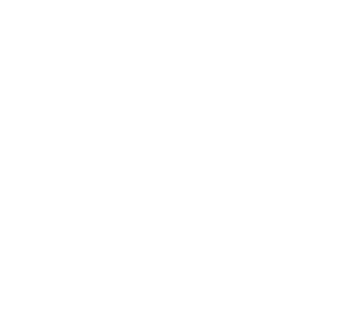 Flowers By Mimosa
